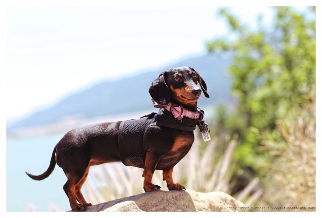 Emily | May 2014. Photo by: Johnny Ortez-Tibbels ©