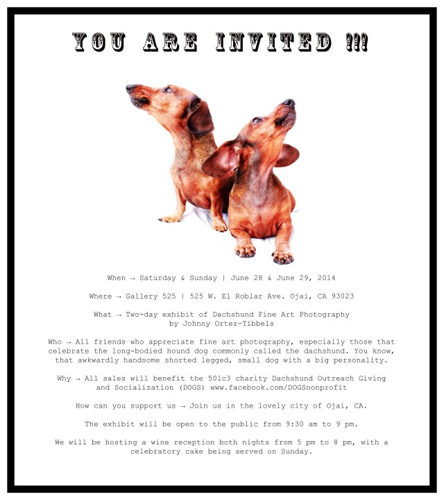 Gallery Showing Invite by: Johnny Ortez-Tibbels ©