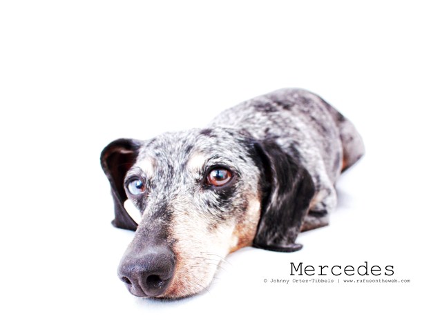 Mercedes | 2011. Photo by: Johnny Ortez-Tibbels ©