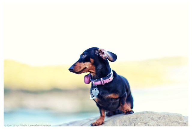 Emily | May 2014.  Photo by: Johnny Ortez-Tibbels ©