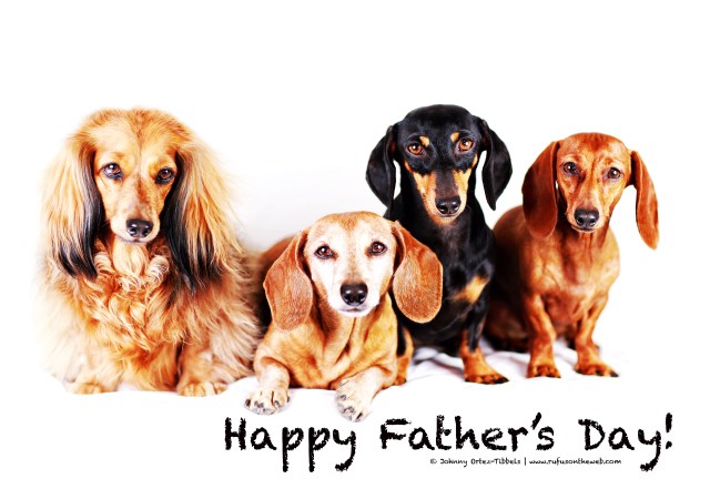 Sophie, Rufus, Emily & Lily | June 2014.  Photo by: Johnny Ortez-Tibbels ©