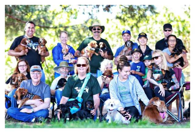 LA Doxies| June 2014.  Photo by: Johnny Ortez-Tibbels ©