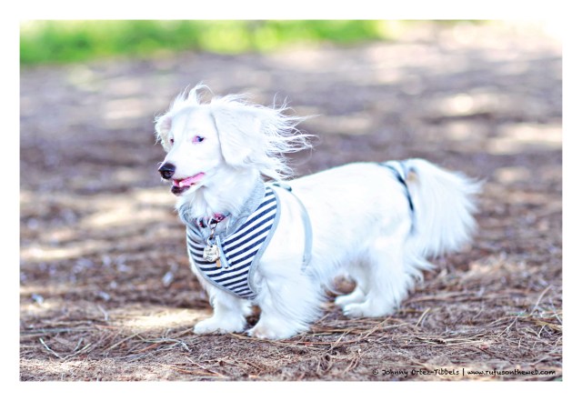 Zero | June 2014.  Photo by: Johnny Ortez-Tibbels ©