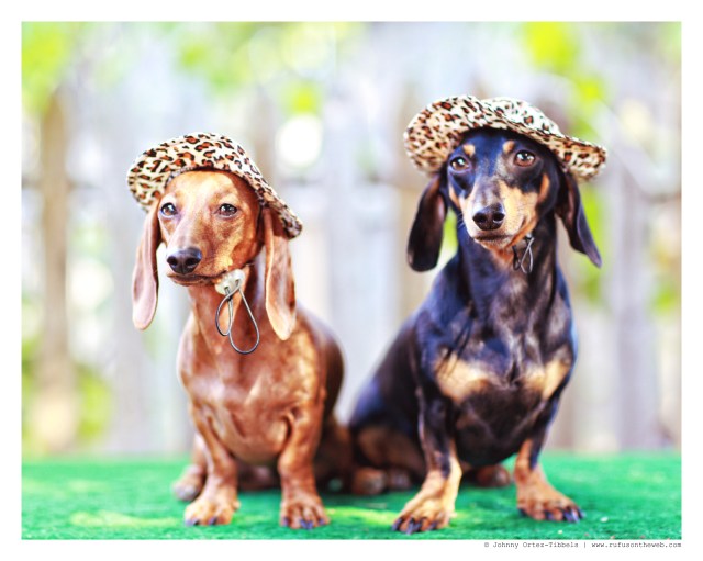 Lily & Emily | July 2014.  Photo by: Johnny Ortez-Tibbels ©