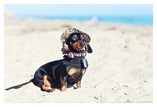 Emily | July 2014.  Photo by: Johnny Ortez-Tibbels ©