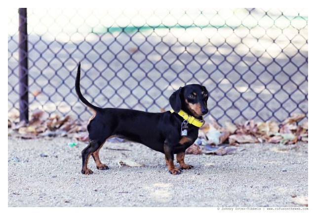 Emily | July 2014.  Photo by: Johnny Ortez-Tibbels ©