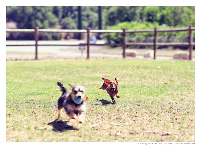 Phoebe & Lily | July 2014.  Photo by: Johnny Ortez-Tibbels ©