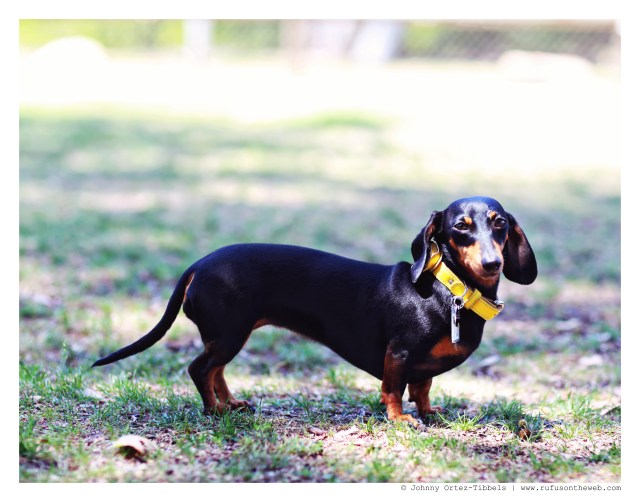 Emily | July 2014. Video by: Johnny Ortez-Tibbels ©
