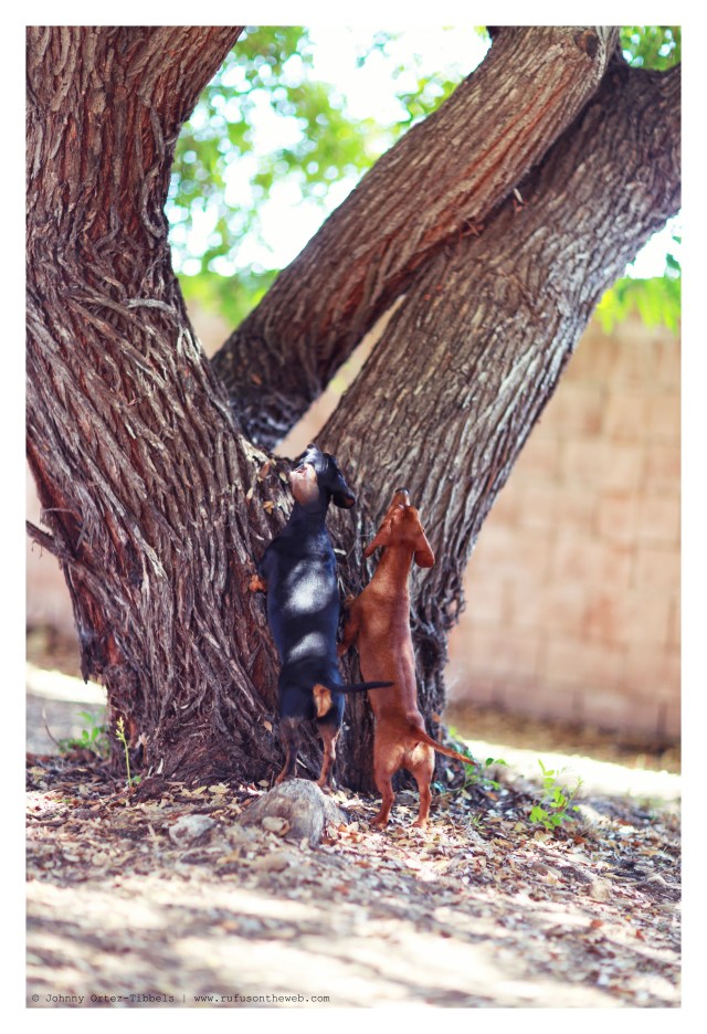 Emily & Lily | May 2014.  Photo by: Johnny Ortez-Tibbels ©
