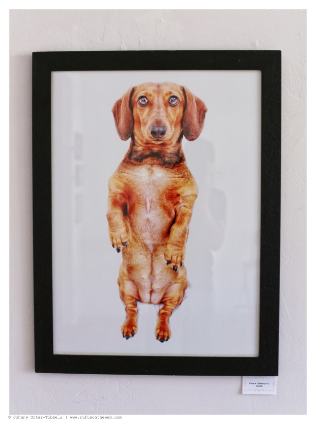 Cuba Smooth $300 | June 2014.  Photo by: Johnny Ortez-Tibbels ©