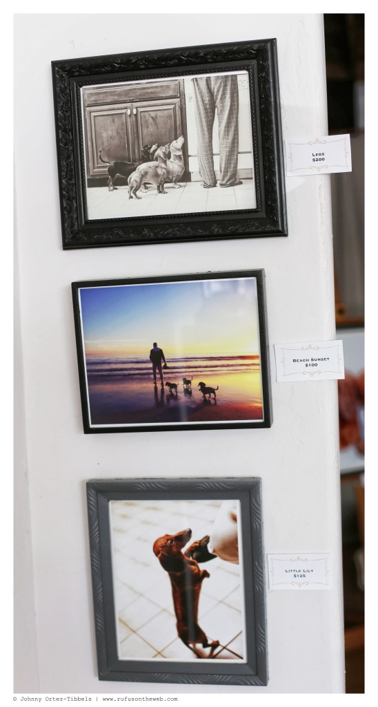 Small Works of Dachshund Art Prices $100-$200 | June 2014.  Photo by: Johnny Ortez-Tibbels ©