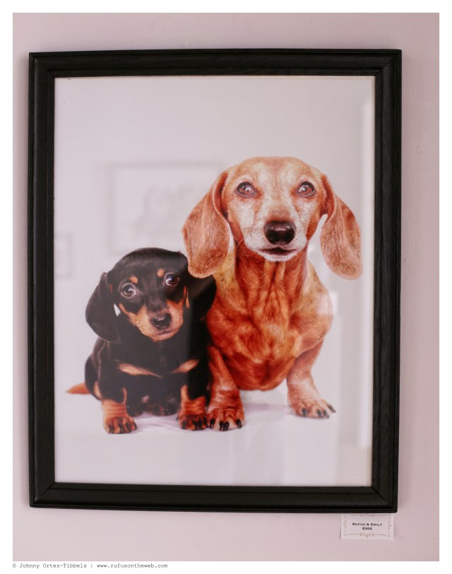 Rufus & Emily $300 | June 2014.  Photo by: Johnny Ortez-Tibbels ©