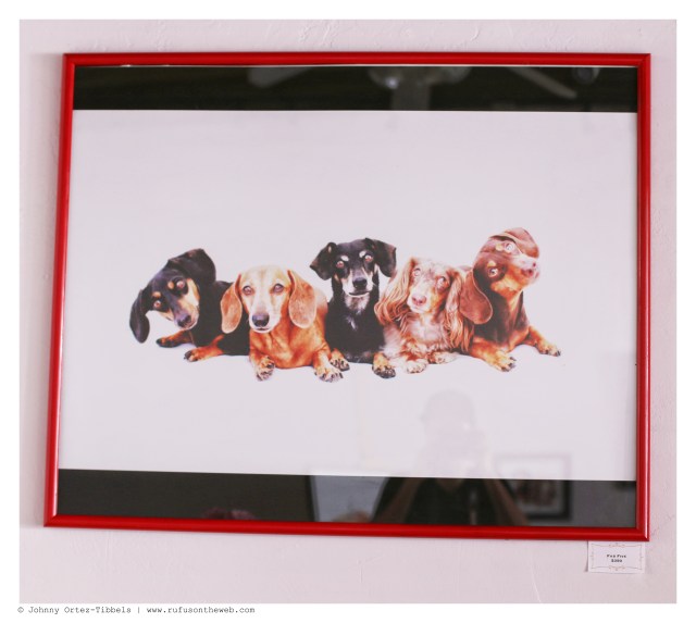 Fab Five $350 | June 2014.  Photo by: Johnny Ortez-Tibbels ©