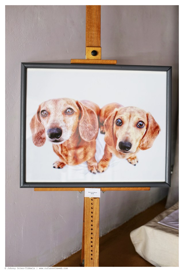 Rufus & Milo (heart) $275 | June 2014.  Photo by: Johnny Ortez-Tibbels ©