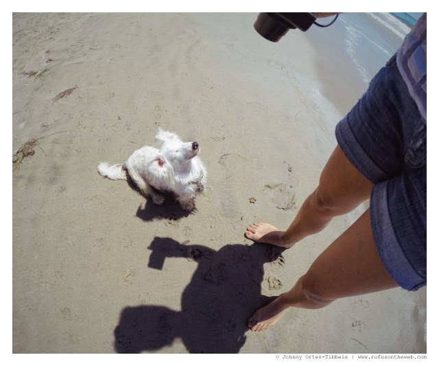 Zero | August 2014.  Photo by: Johnny Ortez-Tibbels ©