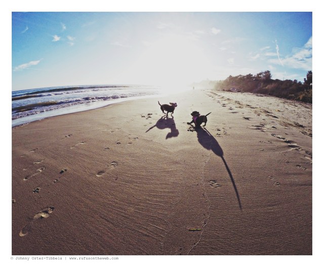 Harley & Emily | August 2014.  Photo by: Johnny Ortez-Tibbels ©