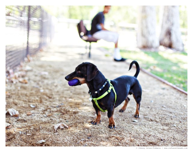 Michal | August 2014.  Photo by: Johnny Ortez-Tibbels ©