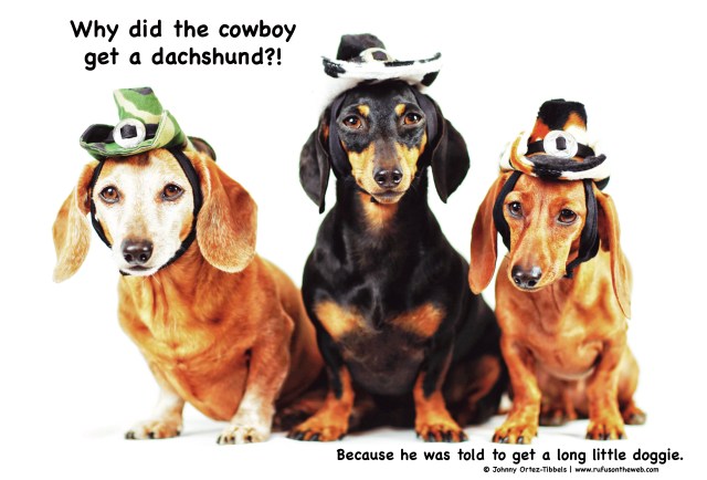 Rufus, Emily & Lily  | August 2014.  Photo by: Johnny Ortez-Tibbels ©