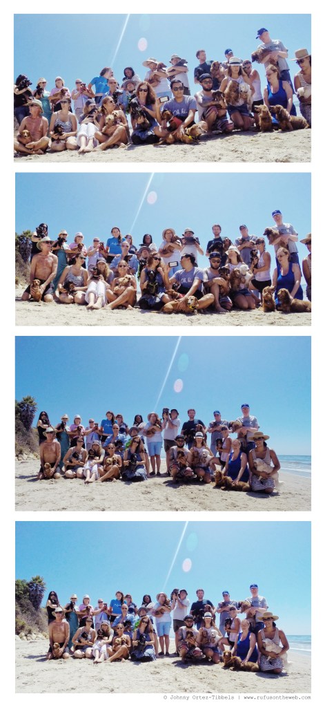 Summerland Dachshund Meetup | August 2014.  Photo by: Johnny Ortez-Tibbels ©