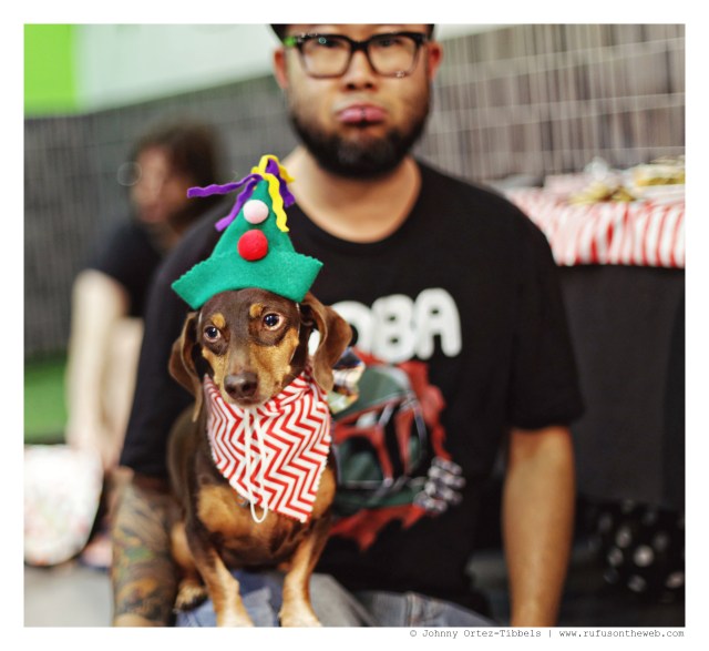 Celebrating a Decade of Rufus with Friends | September 2014. Photo by: Johnny Ortez-Tibbels ©