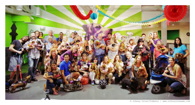 Celebrating a Decade of Rufus with Friends | September 2014. Photo by: Johnny Ortez-Tibbels ©