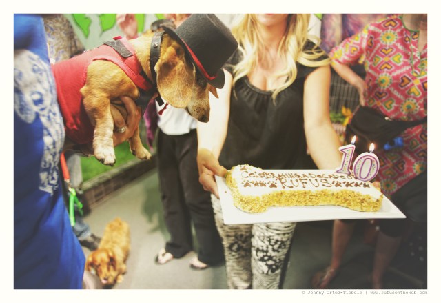 Celebrating a Decade of Rufus with Friends | September 2014. Photo by: Johnny Ortez-Tibbels ©