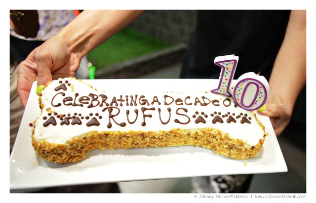 Celebrating a Decade of Rufus with Friends | September 2014. Photo by: Johnny Ortez-Tibbels ©