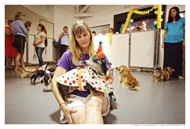 Celebrating a Decade of Rufus with Friends | September 2014.  Photo by: Johnny Ortez-Tibbels ©