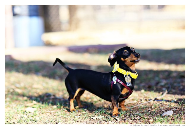 Emily | September 2014.  Photo by: Johnny Ortez-Tibbels ©