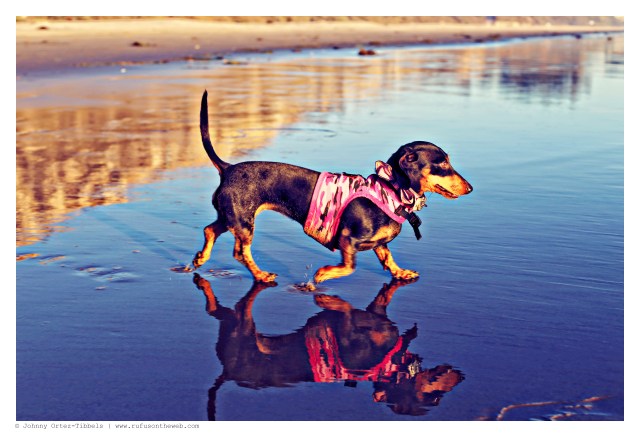 Emily | September 2014.  Photo by: Johnny Ortez-Tibbels ©