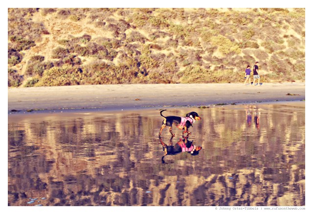 Emily | September 2014.  Photo by: Johnny Ortez-Tibbels ©