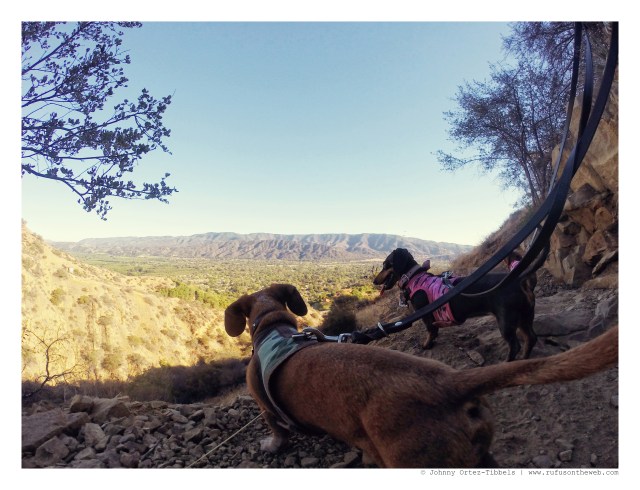 Rufus & Emily | September 2014. Photo by: Johnny Ortez-Tibbels ©