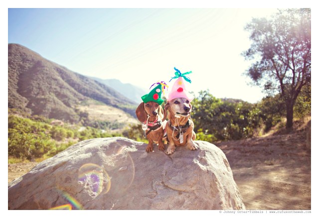 Lily & Rufus | October 2014.  Photo by: Johnny Ortez-Tibbels ©