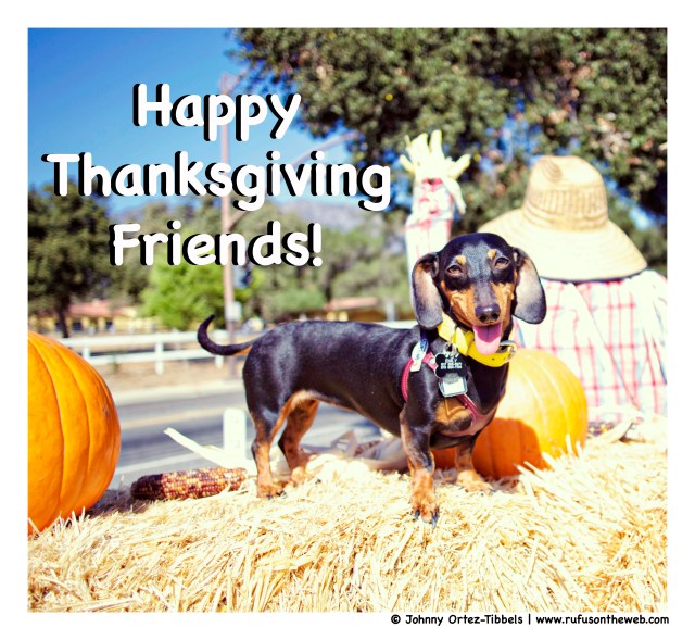 Emily | October 2014.  Photo by: Johnny Ortez-Tibbels ©