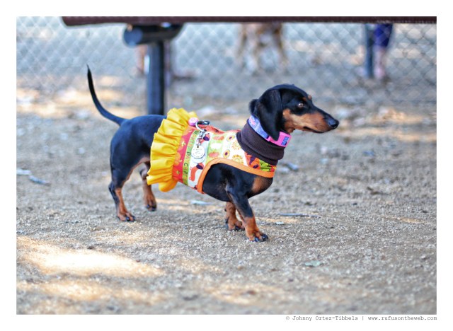 Winter | November 2014.  Photo by: Johnny Ortez-Tibbels ©