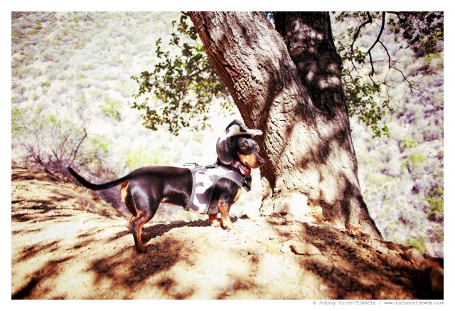 Emily | November 2014. Photo by: Johnny Ortez-Tibbels ©