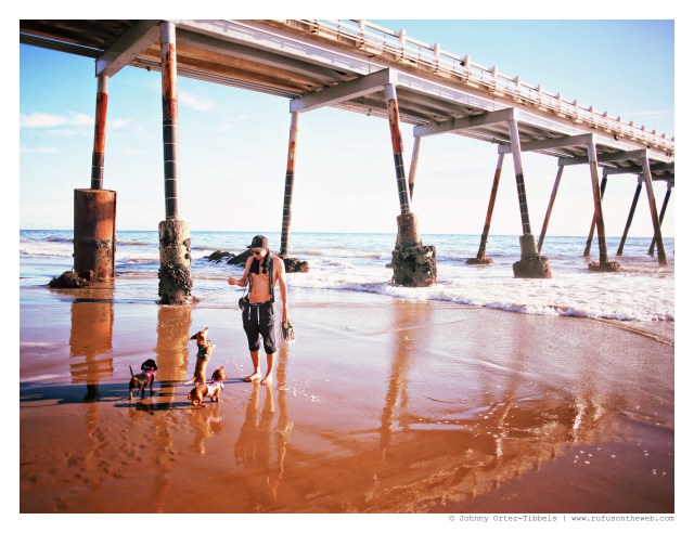 Emily, Rufus, Lily & their human | November 2014.  Photo by: Johnny Ortez-Tibbels ©