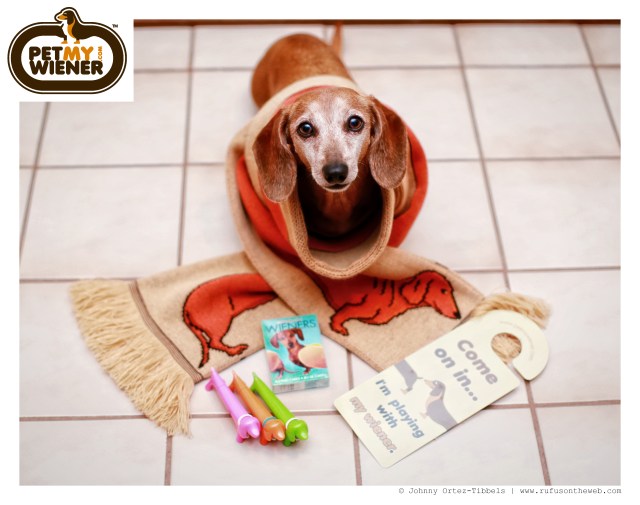 Rufus | November 2014.  Photo by: Johnny Ortez-Tibbels ©