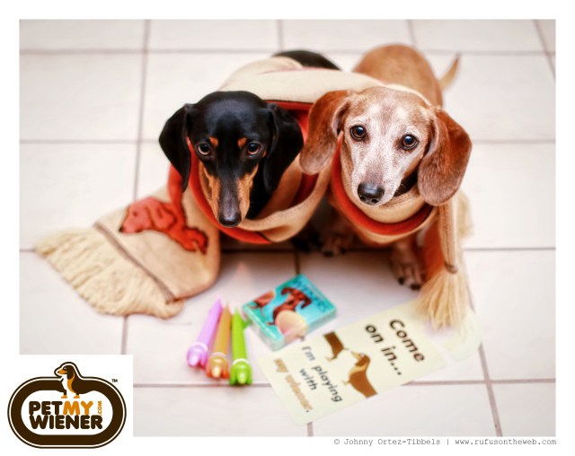 Emily & Rufus | November 2014.  Photo by: Johnny Ortez-Tibbels ©