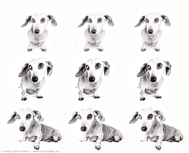 Bailey Marie | May 2011.  Photo by: Johnny Ortez-Tibbels ©