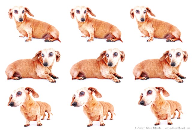 Bailey Marie | May 2011.  Photo by: Johnny Ortez-Tibbels ©