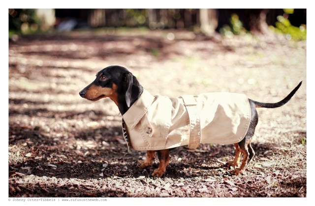 Emily | December 2014.  Photo by: Johnny Ortez-Tibbels ©