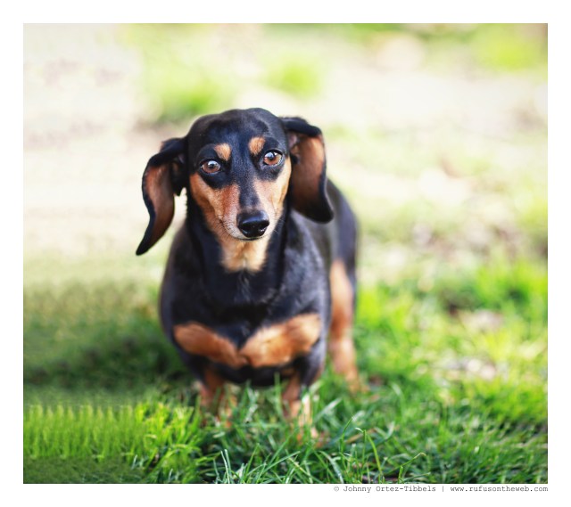 Ingrid | December 2014. Photo by: Johnny Ortez-Tibbels ©