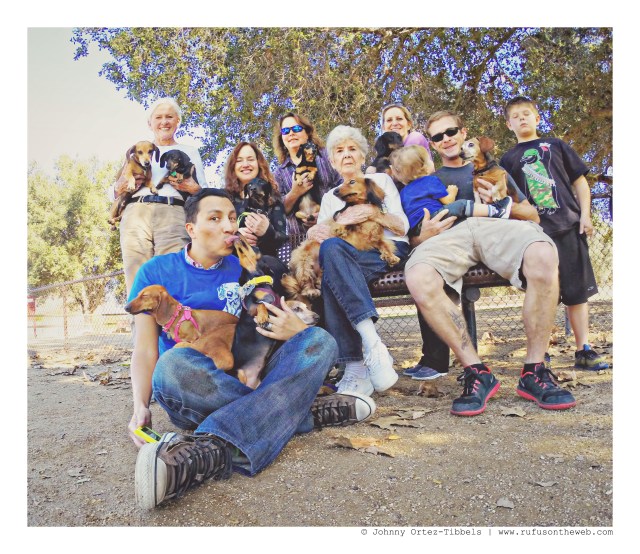 Ojai Doxies | January 2015.  Photo by: Johnny Ortez-Tibbels ©