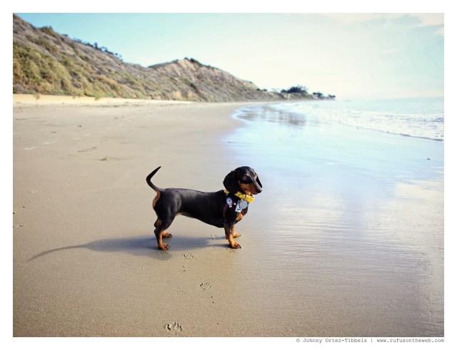 Emily | January 2015.  Photo by: Johnny Ortez-Tibbels ©