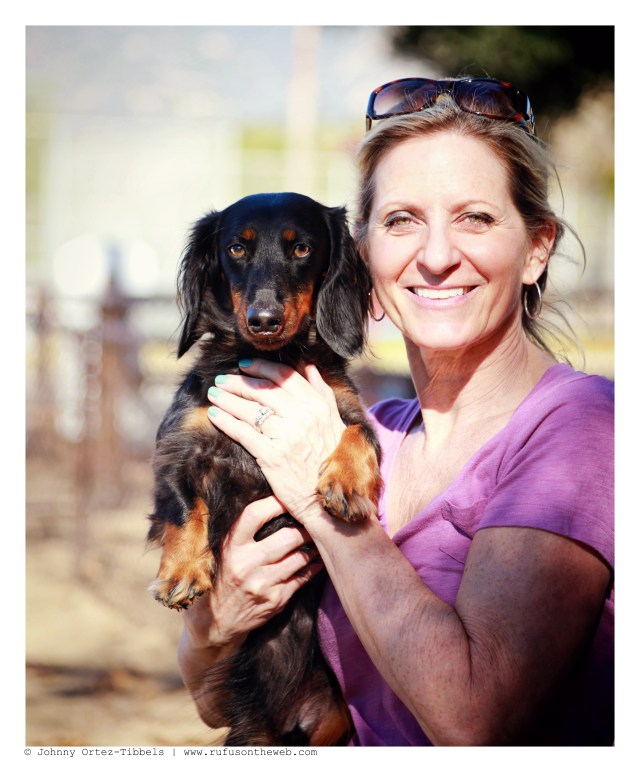 Ojai Doxies | January 2015.  Photo by: Johnny Ortez-Tibbels ©