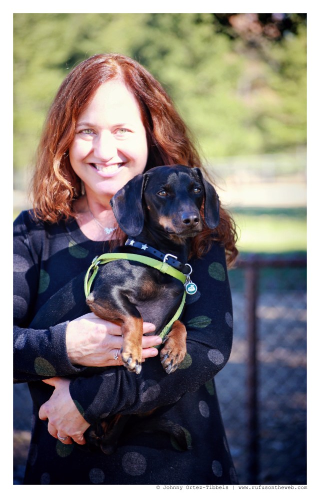 Ojai Doxies | January 2015.  Photo by: Johnny Ortez-Tibbels ©