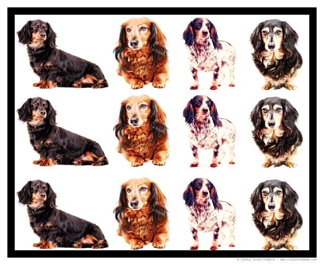 Murray Pack Composite | December 2014.  Photo by: Johnny Ortez-Tibbels ©