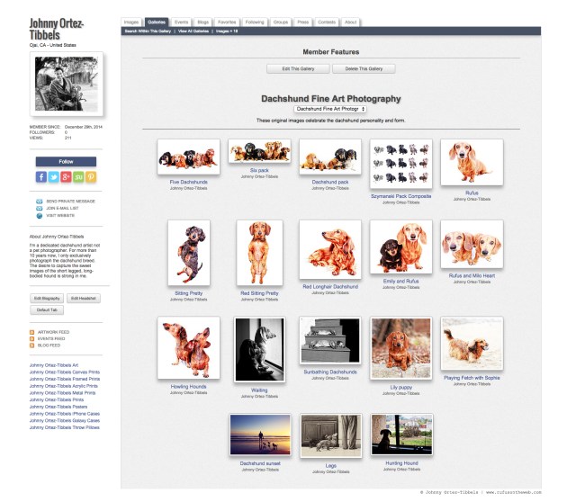 Pixels.com Dachshund Fine Art Photography Gallery | Photo by: Johnny Ortez-Tibbels ©