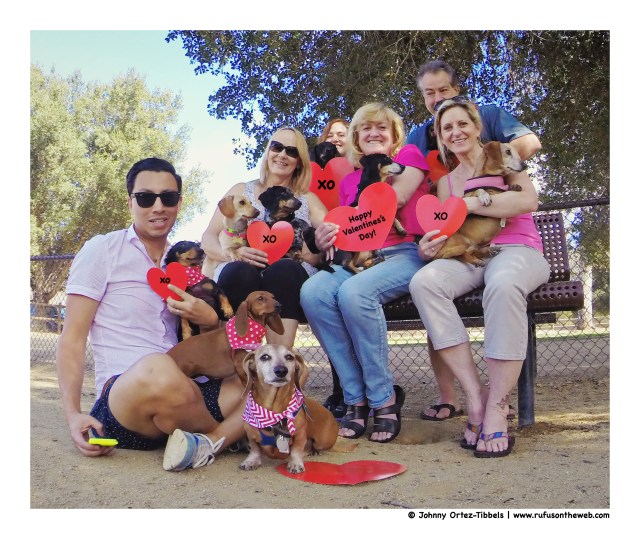 Valentine's Day Celebration | February 2015.  Photo by: Johnny Ortez-Tibbels ©